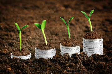 Coins in soil with young plants. Money growth concept.