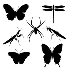 set of silhouettes of insects - butterflies, spider, mantis
