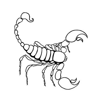 Scorpio zodiac sign in horoscope.