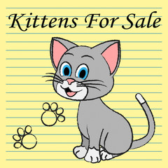 Kittens For Sale Shows Cats On Market And Advertisement