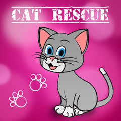 Cat Rescue Indicates Pets Saving And Recovering