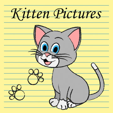 Kitten Pictures Indicates Feline Images And Photos