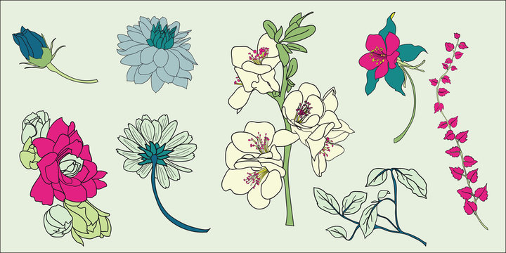 flower vector element set