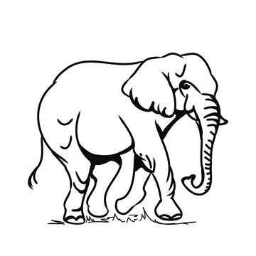 Big elephant (contour)