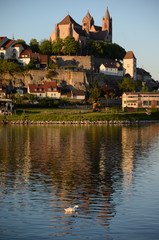Fototapeta na wymiar Rhein bei Breisach