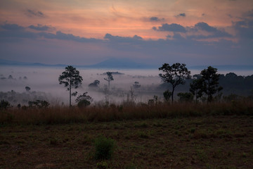 Misty morning sunrise at Thung Salang Luang National Park Phetch