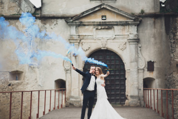 Fototapeta na wymiar The bride and groom with smoke bombs on the background of castle