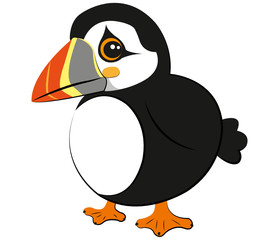 Papageitaucher - Puffin