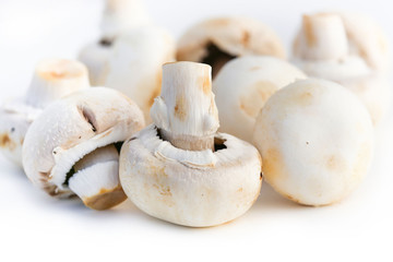 Champignons