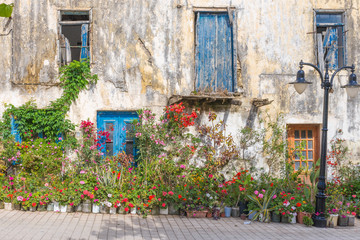 Fototapeta na wymiar Flowers, ornamental plants and greenery at a house in Paleochora in the south-west of Crete. The village is situated on a headland. The citizens of the village decorates all the homes