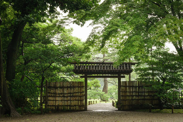 Obraz premium 日本庭園