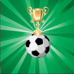 football and cup;Soccer Trophy;football cup with green background;Football match