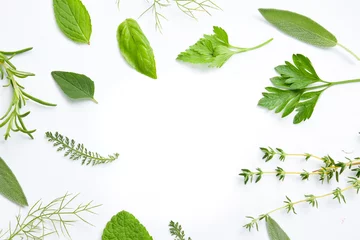 Crédence de cuisine en verre imprimé Aromatique variety of fresh herbs on white background