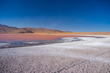 Fototapeta na wymiar Multicolored Salt Lake with flamingos on the Bolivian Andes
