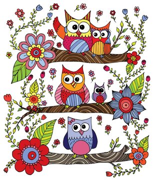 Owl Coloring Doodle Set Vector