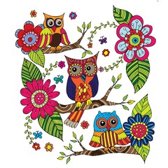 Fototapeta premium Owl Coloring Doodle Set Vector