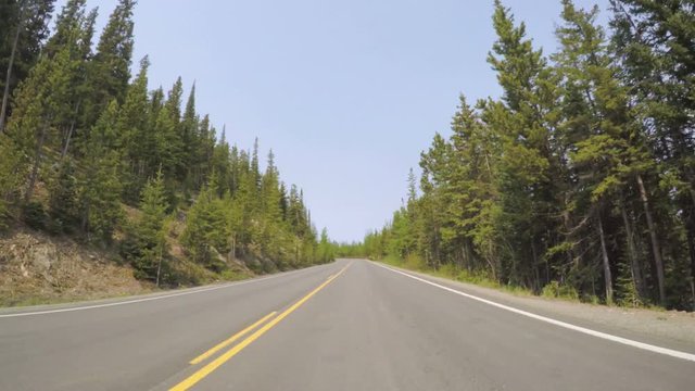 Car driving through alpine forest on Mount Evans-POV point of view