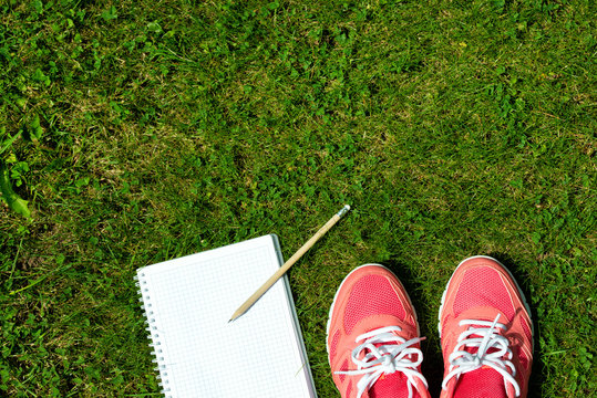 Fitness concept, pink sneakers and notebook with pencil on green grass, top view