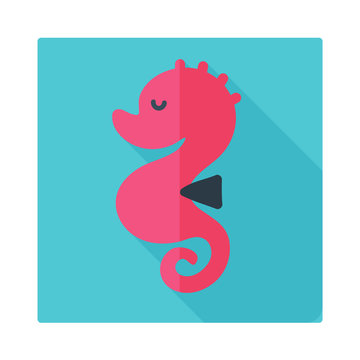 Sea Horse Icon