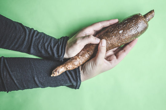 contemporary still life of casssava or manioca with hands on tre