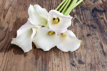 Bouquet of white calla flowers (Zantedeschia) on brown old woode