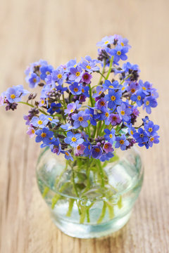 Bouquet of forget-me-not flowers in glass vase
