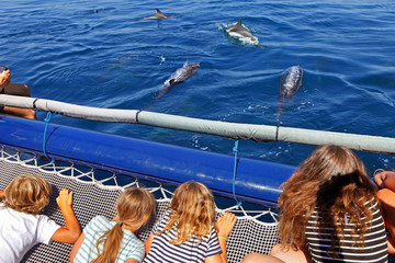 Young tourists during a dolphin watching © dancar
