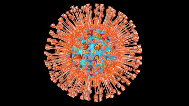 A 4k medical visualization of a spinning Herpes Virus isolated on black. 3D Illustration.
