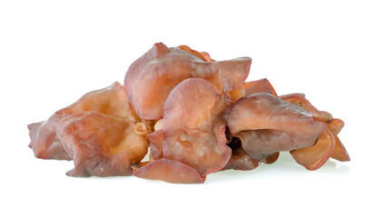 Jew's Ear Mushroom isolated on white