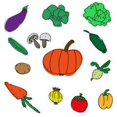 Set of various doodles, hand drawn rough simple sketches  different kinds  vegetables.