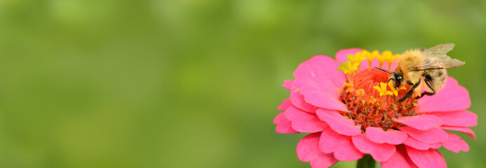 Garten 552 © K.-U. Häßler