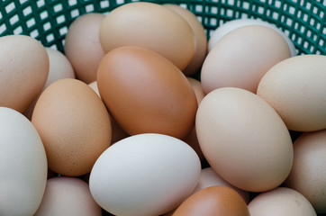 Eggs In The Basket.
