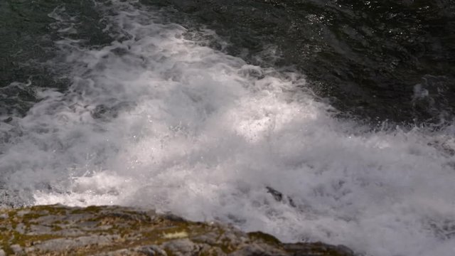 Salmon leaping up a low falls on a mountain stream