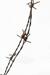 The rusty barbed wire on  white background ,soft focus.