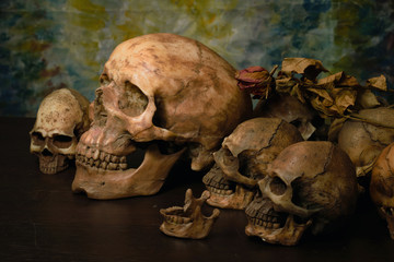 Adult human skull with  many small skulls, on the map still light human skulls, classic skulls background