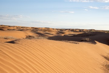 Fototapeta na wymiar Sand Dunes in Southern Utah
