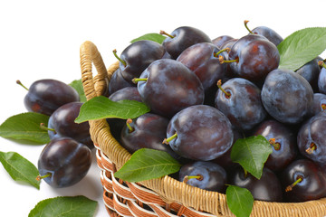 basket of plums