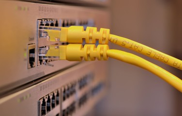 Telecommunication Ethernet Cables Connected to Internet Switch