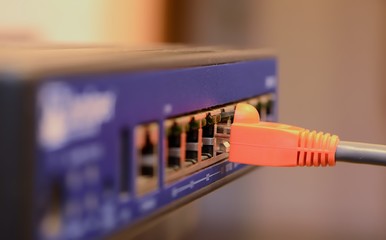 Network cables connected to hub