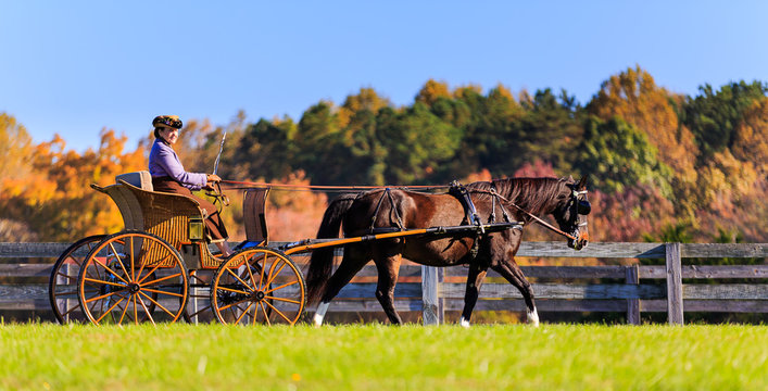 Carriage Rider competing in the James River Driving Association