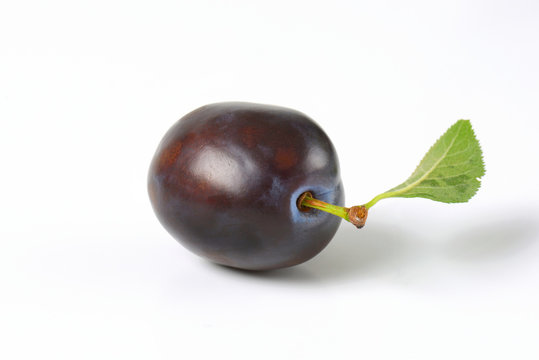 single ripe plum
