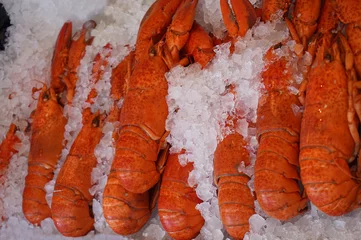 Papier Peint Lavable Crustacés Lobsters, seafood