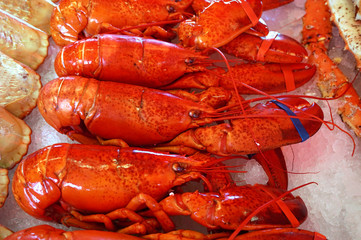 Lobsters, seafood