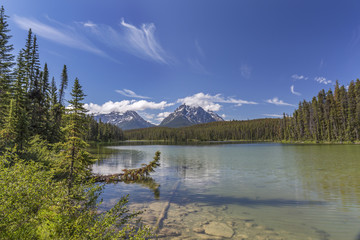Small Lake in Jasper National Park - Alberta, Canada