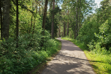 Fototapeta na wymiar asphalt path in the park in a summer day