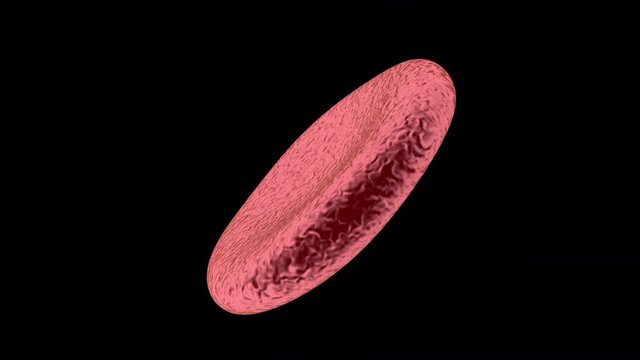 Animation of a spinning hemoglobin cell. Loopable with black background.

