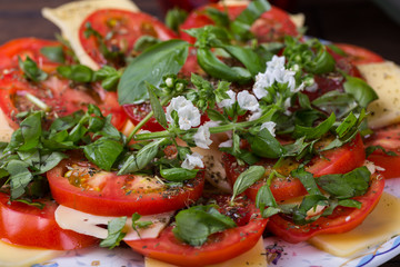 Vegetarian salad with cheese and tomatoes