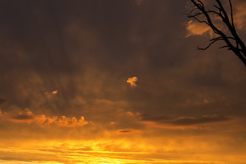 summer sunset on the lake