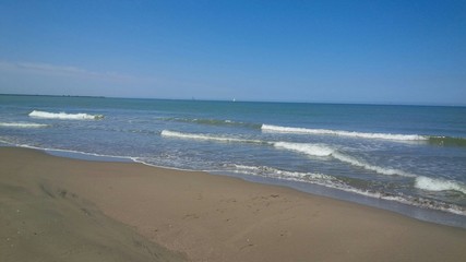 mare
