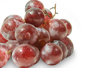 isolated grapes on white background